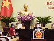 HĐND thành phố bầu chức danh Chủ tịch UBND thành phố Hà Nội.