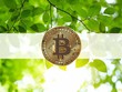 Giá Bitcoin hôm nay ngày 25/6: Nhận trợ lực mới, giá Bitcoin hồi phục lên trên 35.000 USD