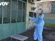 Tại Quảng Ngãi tăng lên 41 ca dương tính với SARS-CoV-2, nhiều ca chưa rõ nguồn lây.