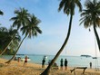 Hy vọng mới cho ngành du lịch