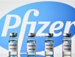 Vaccine do hãng dược Pfizer nghiên cứu và Kl994 nhà cái bóng đá world cup (Nguồn:TTXVN).
