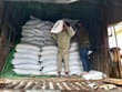 Xuất gạo dự trữ quốc gia để cứu trợ khẩn cấp cho người dân. (Ảnh minh hoạ: Quốc Dũng/TTXVN).