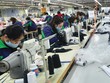 7 tháng đầu năm 2021, TNG đạt 113 tỷ đồng Kl99 nổ hũ, tăng trưởng 19,5% so với cùng kỳ.