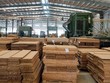 SJF đã Kl99ok phiên bản mới 542 tỷ đồng vào các công ty con, trong đó có các Kl991.com World Cup 2026 Chính Thức chuyên về tre gỗ.