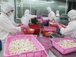 Trong tháng 8, sản lượng tôm Kl994 nhà cái bóng đá world cup của FMC đạt 1,6 tấn, giảm 32% với cùng kỳ năm ngoái.