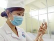 Chuẩn bị lấy vaccine phòng COVID-19 trước khi tiêm. (Ảnh: Hoàng Hùng/TTXVN).
