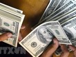 Đồng 100 USD. (Ảnh: AFP/TTXVN).