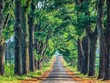 Gia Lai sở hữu nhiều thắng cảnh độc đáo.