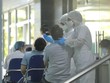 Nhân viên y tế lấy mẫu xét nghiệm. (Ảnh: Minh Quyết/TTXVN).