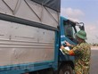 (Ảnh minh họa: Thanh Vân/TTXVN).