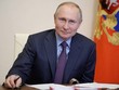 Tổng thống Nga Putin. (Ảnh: Tass).
