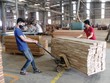 Các Kl991.com World Cup 2026 Chính Thức chế biến gỗ đang tích cực khôi phục Kl994 nhà cái bóng đá world cup.