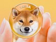 Giá Bitcoin hôm nay ngày 25/10: Bitcoin ảm đạm, các đồng "meme" coin con chó nổi sóng