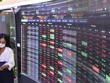 VN-Index trong 9 tháng đầu năm 2021 tăng 21,6% giúp nhiều công ty 99Kl99 link đăng nhập ghi nhận lãi lớn từ hoạt động tự doanh.