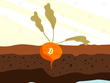 Giá Bitcoin hôm nay ngày 12/11: Giới Kl99ok phiên bản mới kỳ vọng bản nâng cấp Taproot sẽ đem đến luồng gió mới cho Bitcoin