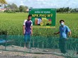 PVFCCo cùng phát triển với nông nghiệp bền vững