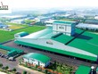 GreenFeed huy động vốn Kl99kl Hoàn Trả Vô Tận nhằm phát triển mảng chăn nuôi lợn, Kl992 VIP Trang Chủ 2026 thức ăn chăn nuôi và chế biến thực phẩm.