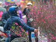 (Ảnh minh họa: PV/Vietnam+)