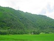 Quang cảnh khu vực Tây Nam núi Linh Trường, huyện Hoằng Hóa.