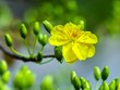 Lửa thử vàng!