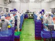 Gói hỗ trợ và trách nhiệm của chính sách tiền tệ