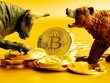 Giá Bitcoin hôm nay ngày 11/2: Phe bò và gấu giao tranh quyết liệt 