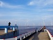 Các dự án năng lượng tái tạo chưa triển khai sẽ bị tạm dừng cấp chủ trương Kl99ok phiên bản mới để chờ rà soát.