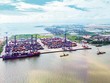 Lĩnh vực logistics của Việt Nam vẫn hấp dẫn các nhà Kl99ok phiên bản mới nước ngoài bất chấp các rào cản do các quy định Kl992 Tham Gia Ngay.