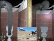 Du khách gặp tình huống dở khóc dở cười với voi rừng ở nhà vệ sinh