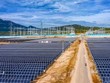 Ninh Thuận: Lo nhà máy 450 MW không được phát 172 MW, tỉnh và Kl991.com World Cup 2026 Chính Thức gõ cửa khắp nơi