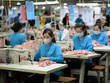 Dệt may là ngành hàng có kim ngạch xuất khẩu trên 10 tỷ USD sang Hoa Kỳ năm 2021.