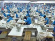 TNG đang lo lắng với đơn hàng xuất khẩu sang Nga trị giá 12,5 triệu USD.