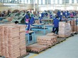 Nga không phải là thị trường xuất khẩu, Link Vào Nhà Cái KL99 COM Tặng +199k quan trọng của Kl991.com World Cup 2026 Chính Thức gỗ Việt Nam.