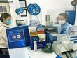 (Ảnh minh họa: Trần Việt/TTXVN)