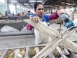 Sau nhiều năm tái cơ cấu, Gỗ Trường Thành đang bị nghi ngờ khả năng hoạt động liên tục.