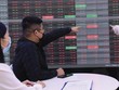 Nhiều nhà Kl99ok phiên bản mới “kẹp hàng dưới gốc thông”
