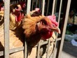 Ảnh minh họa: Reuters.