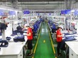 Hoạt động Kl994 nhà cái bóng đá world cup đầu năm tại Công ty TNHH Apparel Far Eastern (Việt Nam) tại Khu công nghiệp Việt Nam-Singapore, thành phố Thuận An (Bình Dương). (Ảnh: TTXVN phát).