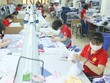 Quý II là giai đoạn cao điểm của ngành dệt may.
