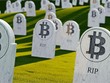 Số lượng người dùng tìm kiếm cụm từ "Bitcoin đã chết" trên Google đạt kỷ lục cao nhất mọi thời đại