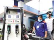 Khả năng cao Petrolimex đạt tiến độ kế hoạch Kl99 nổ hũ trong nửa đầu năm.