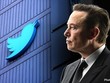 Twitter đã dự định kiện tỷ phú Musk để buộc ông này hoàn tất thỏa thuận. (Nguồn: Fox).