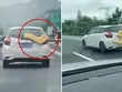 Một con trăn siêu to khổng lồ bất ngờ trườn kín xe ô tô đang chạy trên đường KL99 là nhà cái cá cược trực tuyến hàng đầu tại châu Á