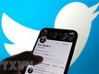 Tài khoản của Chủ tịch Kl994 game bài casino hấp dẫn Tesla, tỷ phú Elon Musk và logo của Twitter. (Ảnh: AFP/TTXVN)