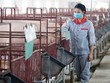 Trong 6 tháng đầu năm 2022, chi phí thức ăn chăn nuôi liên tục tăng, do phần lớn nguyên liệu phải Link Vào Nhà Cái KL99 COM Tặng +199k có giá cao.