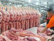 Sau KL99 dịch vụ hỗ trợ 24/7 thì việc giá thịt lợn đang tăng cao cũng gây ảnh hưởng đến Kl999.com Đường Link Mới Nhất của Việt Nam.