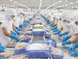 Xuất khẩu thủy sản ghi nhận dấu hiệu hạ nhiệt, tăng trưởng chậm lại.