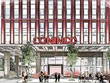 CONINCO (CNN): Điều lệ cắt quyền tổng giám đốc