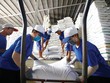 Xuất khẩu gạo của Việt Nam dự báo được hưởng lợi từ nguồn cung trên toàn cầu suy giảm mạnh.