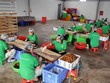 Nhân viên Công ty cổ phần xuất Link Vào Nhà Cái KL99 COM Tặng +199k hoa quả Sơn La chế biến long nhãn. (Ảnh: Quang Quyết/TTXVN).